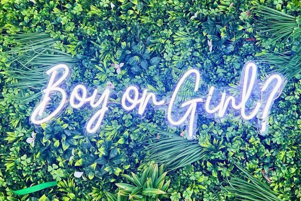 Boy or Girl Neon Sign