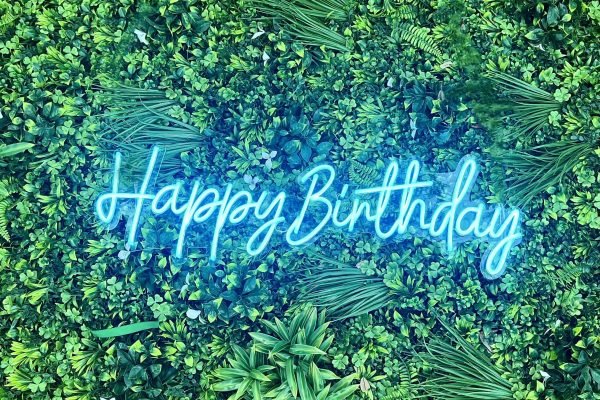 happy birthday neon sign